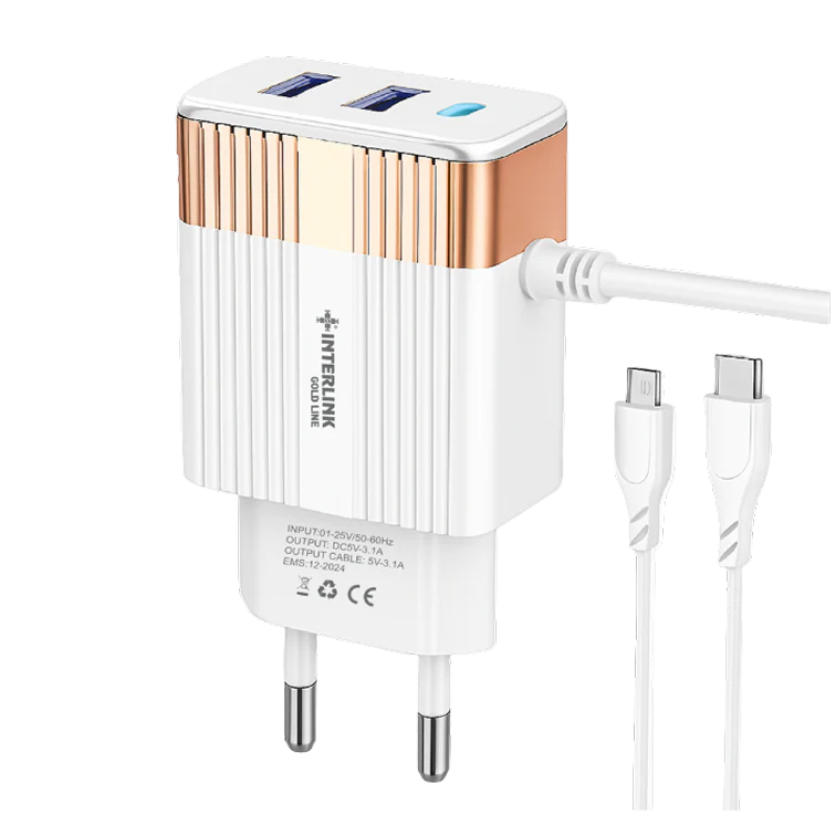 GOLD LINE DC CHARGER 12V-Smart Charging