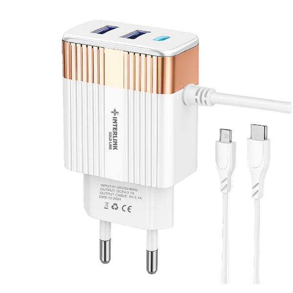 GOLD LINE DC CHARGER 12V-Smart Charging