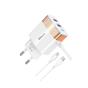 GOLD LINE DC CHARGER 12V-Smart Charging